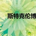 斯特克伦博赫（关于斯特克伦博赫简介）