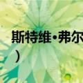 斯特维·弗尔塔多（关于斯特维·弗尔塔多简介）