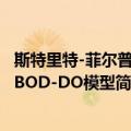 斯特里特-菲尔普斯BOD-DO模型（关于斯特里特-菲尔普斯BOD-DO模型简介）