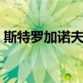 斯特罗加诺夫宫（关于斯特罗加诺夫宫简介）