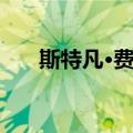 斯特凡·费克（关于斯特凡·费克简介）