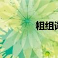 粗组词语（汉字粗怎么组词）