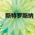 斯特罗斯纳 A.（关于斯特罗斯纳 A.简介）