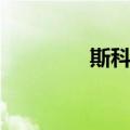 斯科罗（关于斯科罗简介）