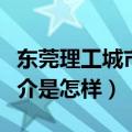 东莞理工城市学院简介（东莞理工城市学院简介是怎样）