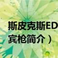 斯皮克斯EDW卡宾枪（关于斯皮克斯EDW卡宾枪简介）