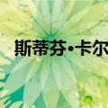 斯蒂芬·卡尔迪（关于斯蒂芬·卡尔迪简介）