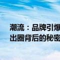 潮流：品牌引爆、出圈背后的秘密（关于潮流：品牌引爆、出圈背后的秘密介绍）