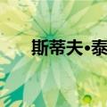 斯蒂夫·泰勒（关于斯蒂夫·泰勒简介）