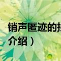 销声匿迹的拼音和意思是什么（销声匿迹意思介绍）