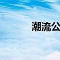 潮流公仔（关于潮流公仔介绍）