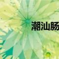 潮汕肠粉（关于潮汕肠粉介绍）