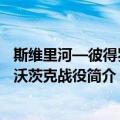 斯维里河—彼得罗扎沃茨克战役（关于斯维里河—彼得罗扎沃茨克战役简介）