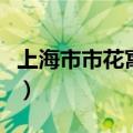 上海市市花寓意是什么（上海市市花寓意是啥）