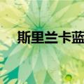 斯里兰卡蓝鹊（关于斯里兰卡蓝鹊简介）