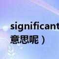 significant是什么意思（significant是什么意思呢）