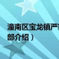 潼南区宝龙镇严寨村党支部（关于潼南区宝龙镇严寨村党支部介绍）