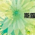 斯露德（关于斯露德简介）