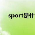 sport是什么意思车上的（有什么用处）