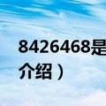 8426468是什么意思（网络语8426468意思介绍）