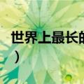 世界上最长的山脉（最长的山脉是安第斯山脉）