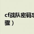 cf战队密码忘了怎么办（你可得知道这几个步骤）