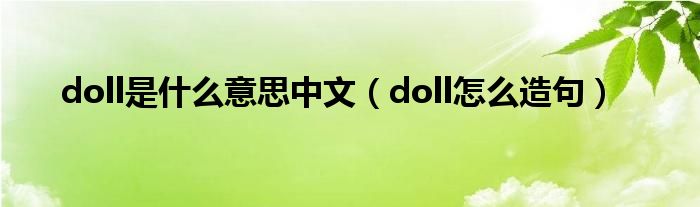 doll是什么单词图片