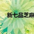 新七品芝麻官（关于新七品芝麻官简介）