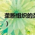 垄断组织的垄断是什么意思（什么是垄断组织）