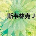 斯韦林克 J·P.（关于斯韦林克 J·P.简介）