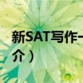 新SAT写作一本通（关于新SAT写作一本通简介）