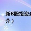 新B股投资全攻略（关于新B股投资全攻略简介）