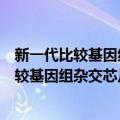 新一代比较基因组杂交芯片技术平台的构建（关于新一代比较基因组杂交芯片技术平台的构建简介）