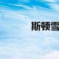 斯顿雪域（关于斯顿雪域简介）