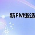 新FM锻造法（关于新FM锻造法简介）