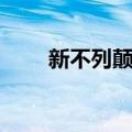 新不列颠鹰（关于新不列颠鹰简介）