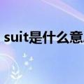 suit是什么意思中文（单词 suit是什么意思）