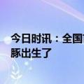 今日时讯：全国首次迁地保护的4头江豚放归长江 超萌小江豚出生了