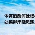 今宵酒醒何处杨柳岸晓风残月这两句诗的意思（今宵酒醒何处杨柳岸晓风残月的意思）