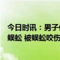 今日时讯：男子住酒店被床上蜈蚣咬伤酒店回应第一次出现蜈蚣 被蜈蚣咬伤会怎么样