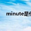 minute是什么意思（minute意思简述）