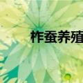 柞蚕养殖技术（柞蚕生产养殖技术）