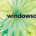 windowsold可以删除吗（怎么删除呢）