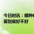 今日时讯：哪种疫苗更适合基因工程疫苗是万能钥匙 吸入疫苗到底好不好