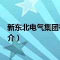 新东北电气集团有限公司（关于新东北电气集团有限公司简介）