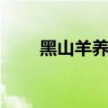 黑山羊养殖技术（黑山羊养殖方法）