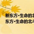 新东方·生命的北斗星：《新东方精神》十年集萃（关于新东方·生命的北斗星：《新东方精神》十年集萃简介）