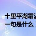 十里平湖霜满天寸寸青丝愁华年什么意思（下一句是什么）