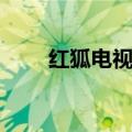 红狐电视剧结局（电视剧内容介绍）