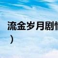 流金岁月剧情简介（流金岁月主要讲的是什么）